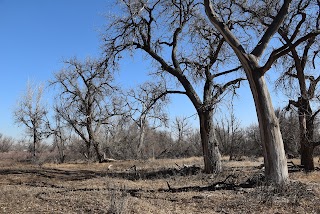 South Platte Park and Carson Nature Center