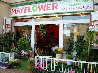 Mayflower Flower Shop