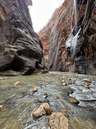 Zion Adventures®