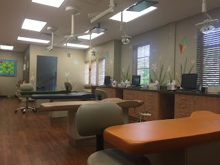 Knoxville Pediatric Dentistry - Bearden