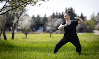 Monique Bogedein - Chen Taiji Gongfu