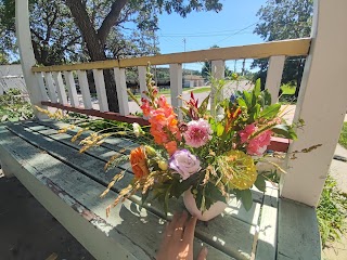 Hillside Blooms Flower Farm