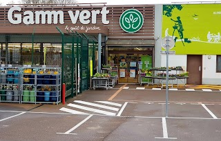 Gamm vert