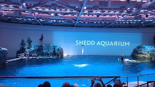 Shedd Aquarium