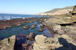 Point Loma Tide Pools