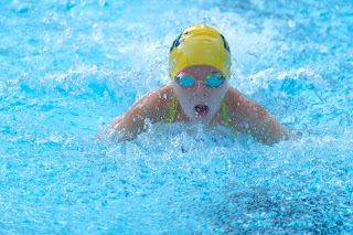 Lawrence Park Swim Club