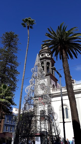 Arbol de Navidad, en Canarias se habla castellano