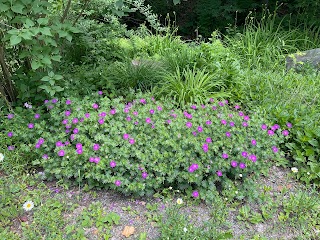 Island Park Riverwalk