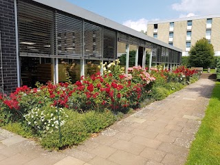 Deutsche Universität für Verwaltungswissenschaften