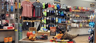 Fleet Feet Sports Nashua