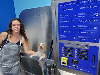 Automatic Pet Wash