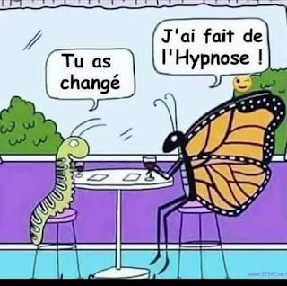 Hypnose Melun Chadia HAMON - HYPNOTHERAPIE ET THERAPIES BREVES