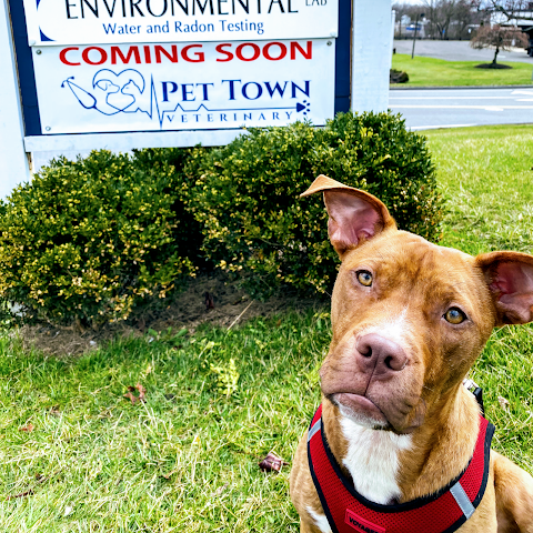 Pet Town Veterinary