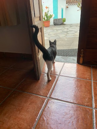 Casa rural con barbacoa, WiFi y estupenda vista la Mar, en La Palma