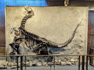 Dinosaur National Monument