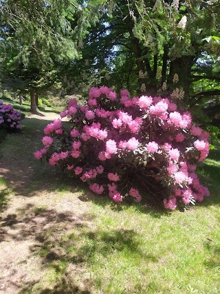 Forstbotanischer Garten Wasungen