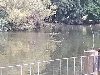 Laguna grande parque