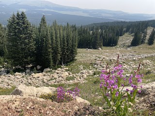 Bighorn Medicine Wheel