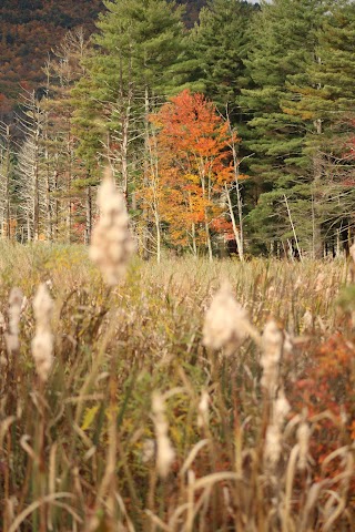 Hubbard Brook Wildlife Management Area