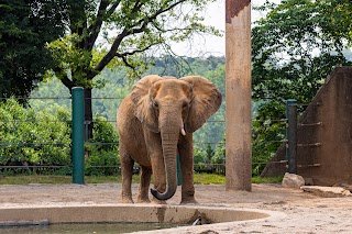 Louisville Zoo