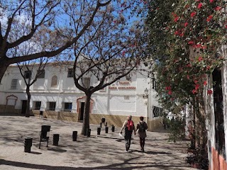 Colegio María Auxiliadora I Marbella (Salesianas)