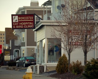 Worcester Cat Hospital & Bird Clinic