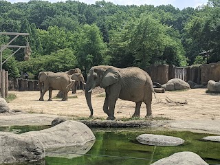 Cleveland Metroparks Zoo