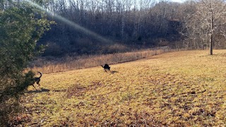 Wolf Pack Dog Training And Animal Care