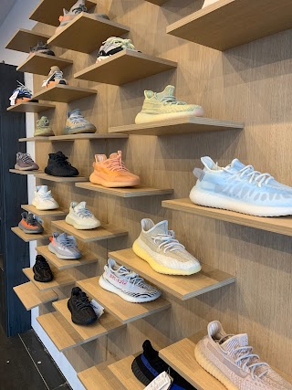 The Plug Store