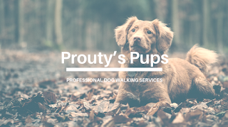 Prouty’s Pups | Albany Dog Walker & Sitter