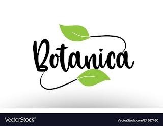 Botanica La Gaviota