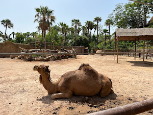 Terra Natura Benidorm