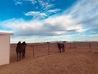 Lazy Sue Ranch