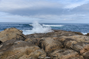 Praia do Coido