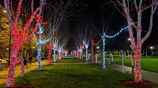 Library Park