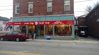 Lucky Dog Thrift Shop
