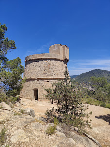 Torre des Molar