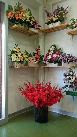 Floristería Plantas de la Rosa