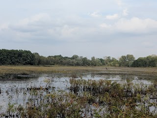 Boot Lake Nature Preserve