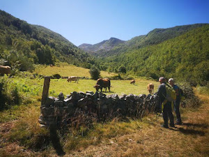 Trabau Ecoturismo