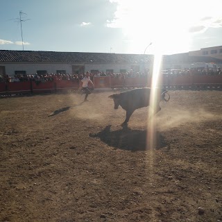 Pabellón Cultural Alfajarín