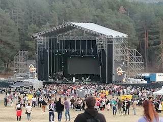 Músicos en la Naturaleza