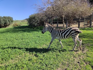 Zoo Reserva Animal La Pequeña África