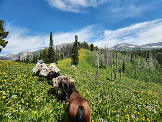 Little Jennie Ranch