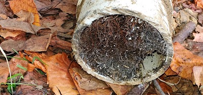 photo of Cleanouts sewer and drain cleaning