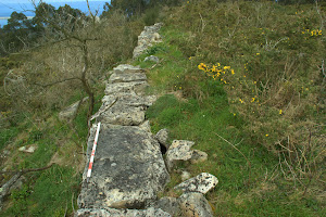 Castro de Pastoriza