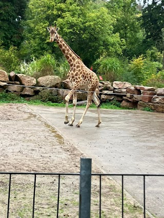 Neunkircher Zoologischer Garten GmbH