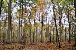 Parker Preserve Trailhead