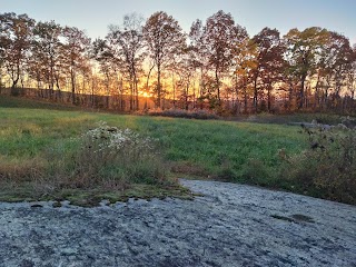 Longo Open Space