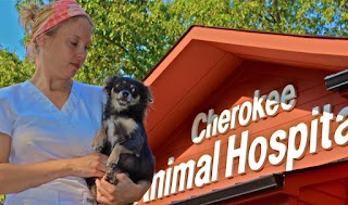 Cherokee Animal Hospital: Dr. Bryant